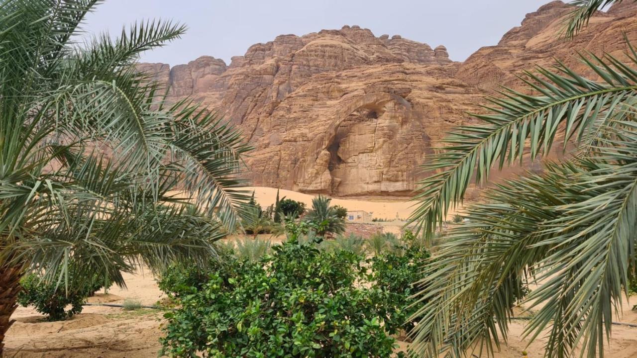 Вилла الجوهرة Diamond Plus Аль-Ула Экстерьер фото