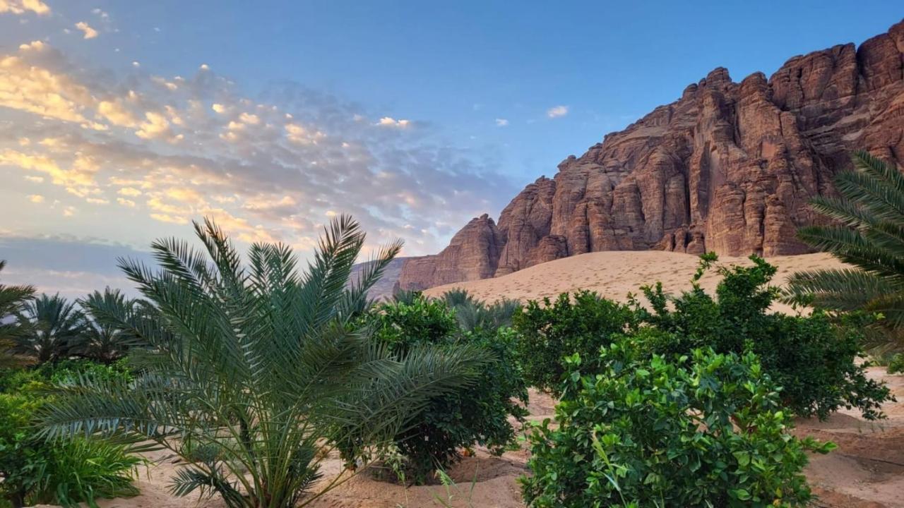 Вилла الجوهرة Diamond Plus Аль-Ула Экстерьер фото
